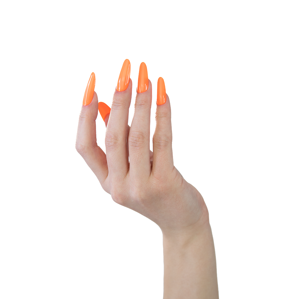 381_3.png
