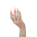 591_3.png