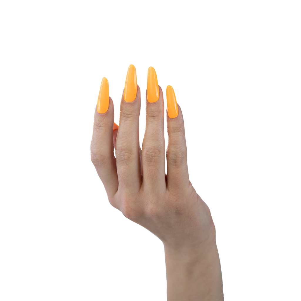 573_4.png