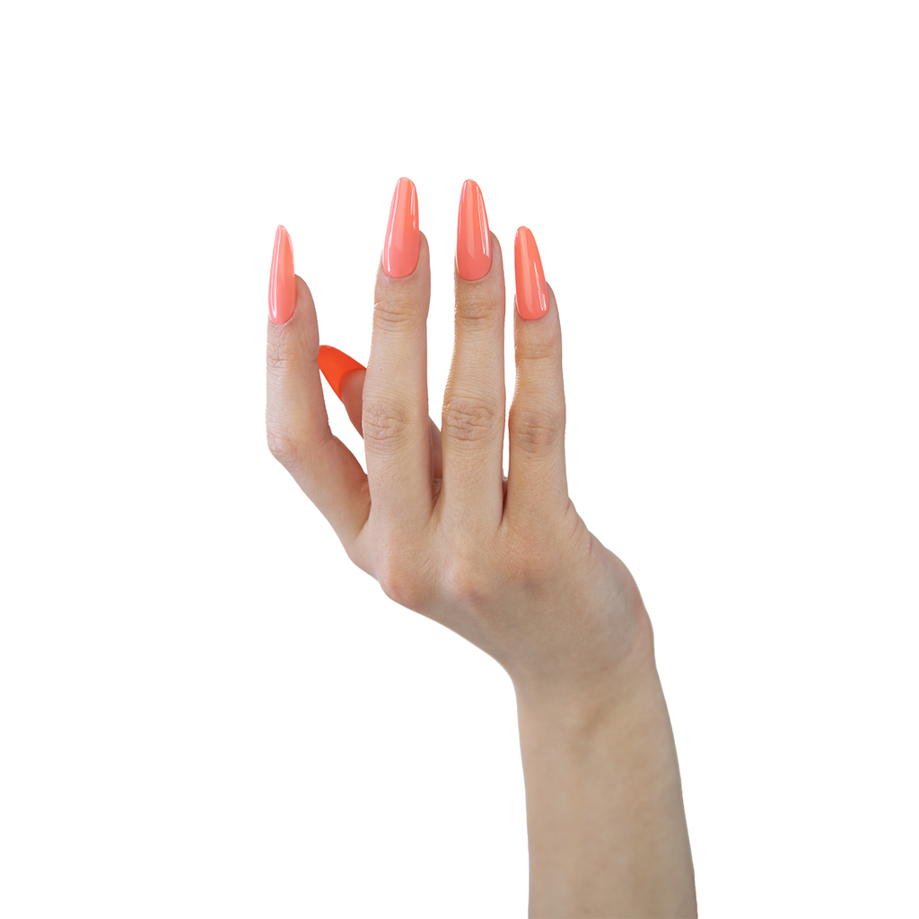 367_3.png